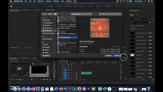 Adding Pictures to Audio Clips Using Adobe Premiere Pro
