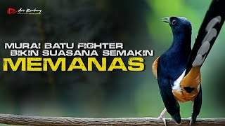 Download lagu MURAI FIGHTER MATERI TAJEM MEMBUAT SITUASI SEAKIN MEMANAS mp3