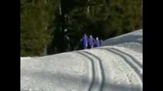 preview picture of video 'Ski de fond. Leysin - Aigle - Col des Mosses'