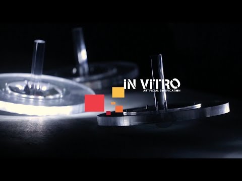 Myriam Bleau - SOFT REVOLVERS  [ IN VITRØ ~ | anteprima 2018]