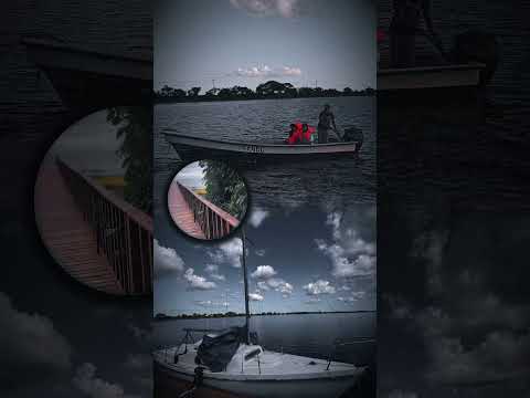 EsterosbDel Ibera. Colonia Carlos Pellegrini Corrientes Argentina #turismo