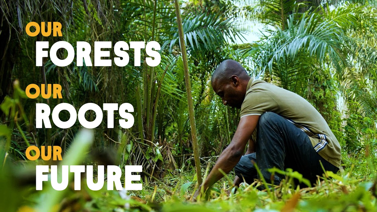 Our Forests, Our Roots, Our Future