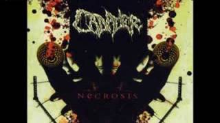 Cadaver - Necro As Fuck