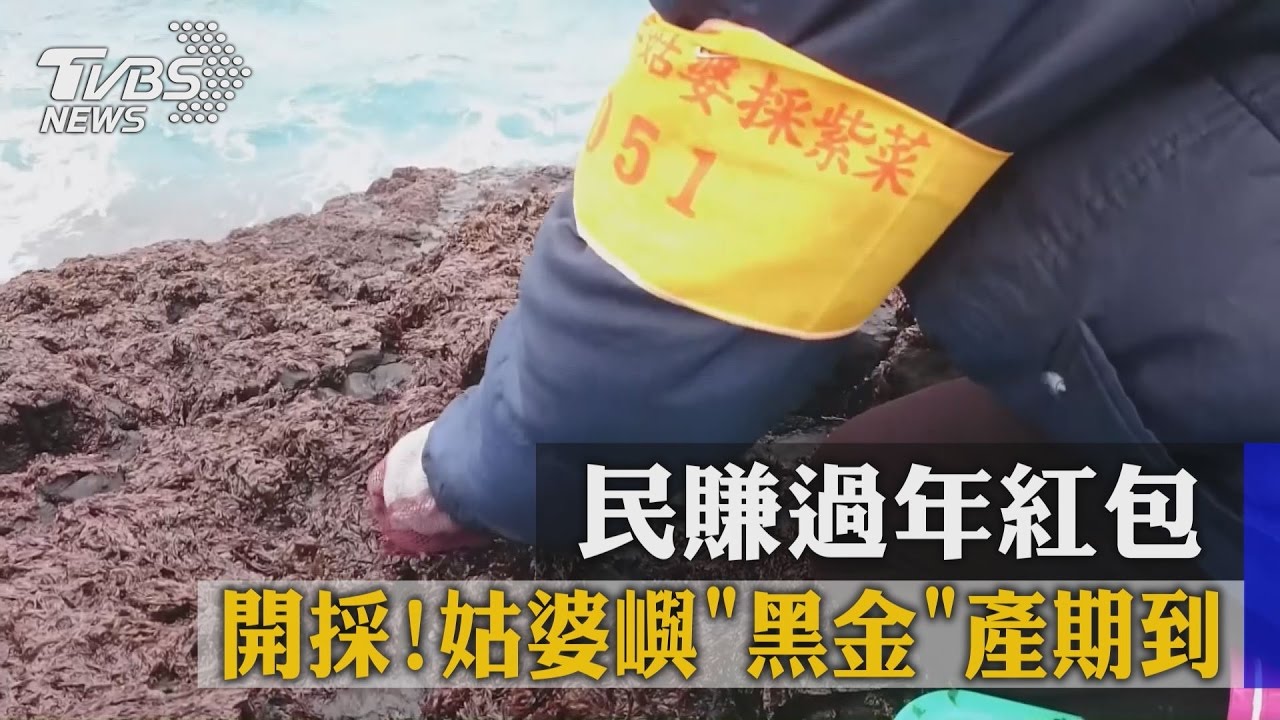 開採！姑婆嶼「黑金」產期到　民賺過年紅包
