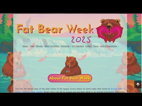 Extra 'thicc' and ready to win; Alaska's bears compete in annual Fat Bear Week - YouTube