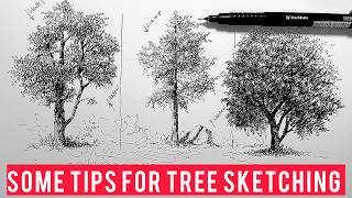 Tree Sketching Tutorial: Light, Shadow & Natural Look – Part 3