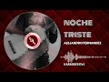 KARAOKE NOCHE TRISTE ALEJANDRO FERNANDEZ