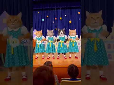 #funny #whowillbemylifepartnerta #december8 #comedy #love #haveitoldyoulatelythatiloveyou