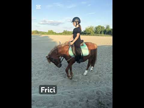 #Frici🥕🐴🤎