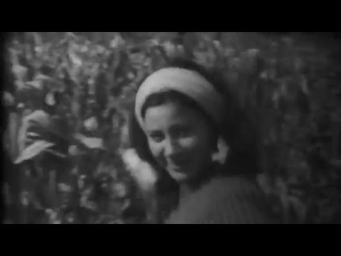 Fluentes & Vjeko Filipović - Jedni drugima (official video)