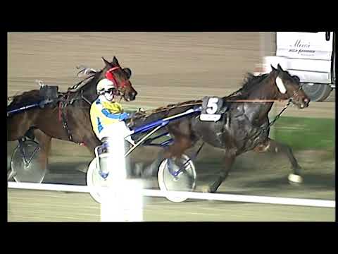 Napoli Trotto 21/11/2021 - 7ª corsa