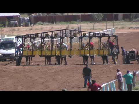 FELIPITO - Club Hípico Cutral Co- 06-03-21