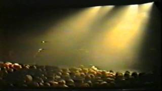 Revolting Cocks (London 1991) [11]. Voice Improvisation