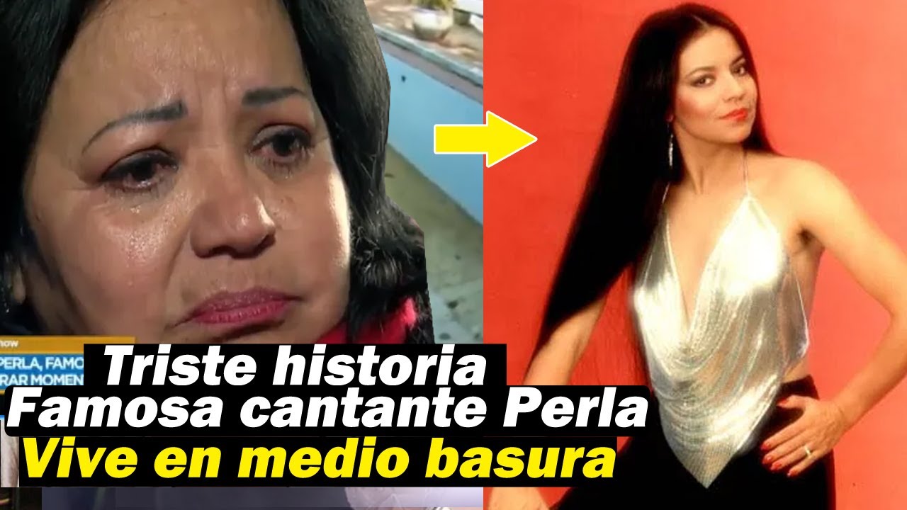 YouTube Thumbnail Downloader FULL HQ IMAGE