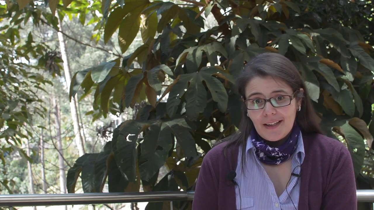 Andrey Moreno Torres-22