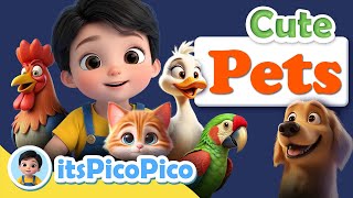 Learn Pets with Pico Pico | Early Learning for Kids