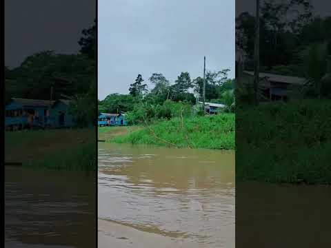 comunidade novorizonte no rio juruá