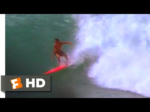 Big Wednesday (1978) - The Hottest Ride Ever Scene (10/10) | Movieclips