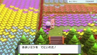 さぁやりましょう。【ポケットモンスター ブリリアントダイヤモンド・シャイニングパール】