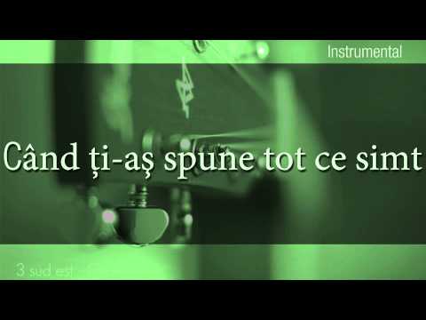 3 Sud Est - Clipe - Negativ plus Versuri