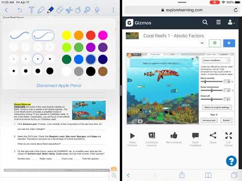 Coral Reef Gizmo Answer Key