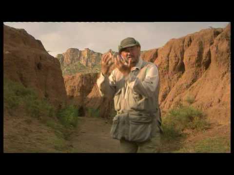 earth report | hope in a changing climate