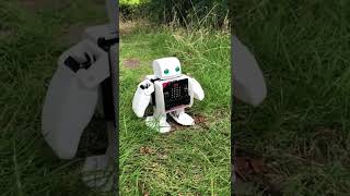 PLEN:bitは、休みを利用して自然体験中です