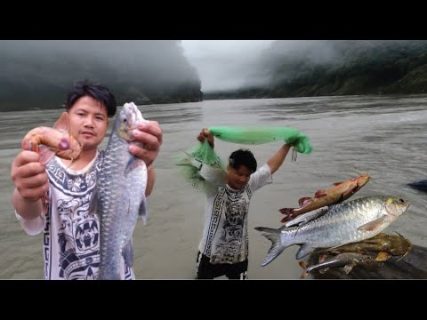Fishing Secret Reveals|| Morning And Evening Are Best Time For Fishing In Arunachal Rivers