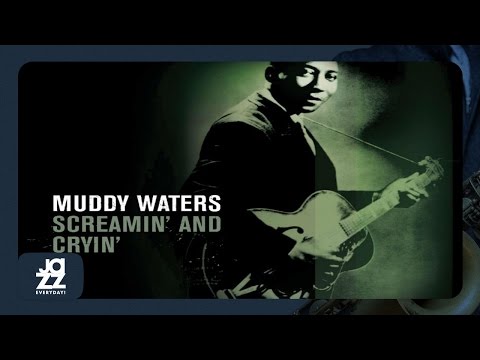 Canary Bird video thumbnail