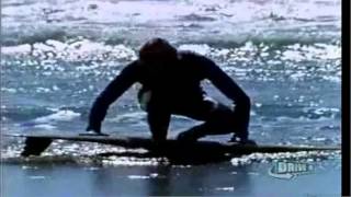 The Ranch, Rick Griffin, Pacific Vibrations