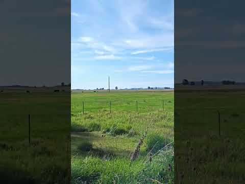 Camino a Lobería ruta RP 227 pcia de Buenos Aires 😍 sonido de la naturaleza #rutasypaisajes