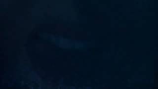 Cher Lloyd - Activated Video