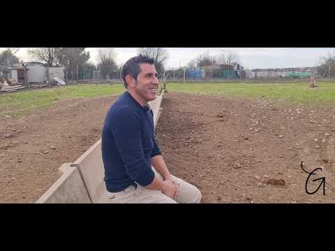 Julián Carpio Livestock