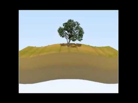 Sismik Dalgalar ve Depremler Nedir? Nasıl Oluşur?