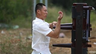 Wing Chun Master | Master Dong | Dragon Mountain Kung Fu Academy