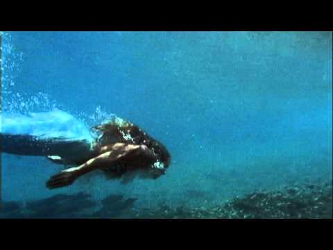 Promotional video thumbnail 2 for Louis Landon