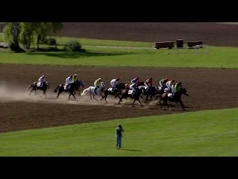 5. dostih - Cena za podpory Sportovního parkur Pardubice - dostihy Pardubice 8. 6. 2019