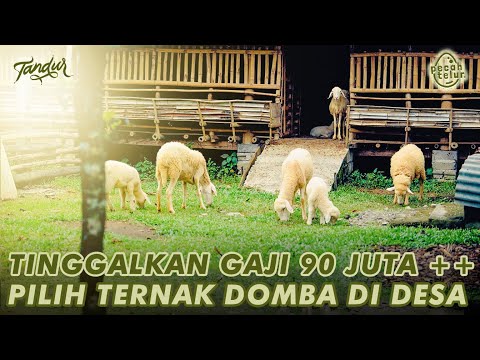 , title : 'Mahalnya Nilai "TENANG", Seorang Analis Di Singapura Pilih Resign & Ternak Domba Di Desa!'