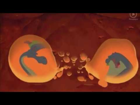 Magiczny Miecz - Legenda Camelotu - Gdybyś Ty Nie Był Tu