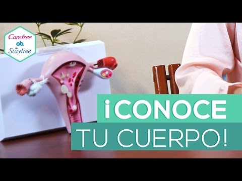 ¡Conoce tu anatomía femenina!
