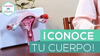 ¡Conoce tu anatomía femenina!