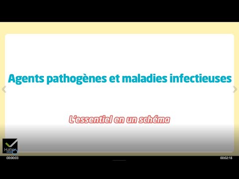 , title : 'SVT 2de - Schéma bilan : Agents pathogènes et maladies infectieuses'