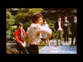 The Hollies: Everything Is Sunshine Video