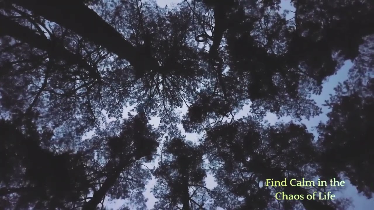 Body Scan for Concentration: Enhance Focus with Mindfulness