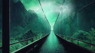 Rain in the forest
