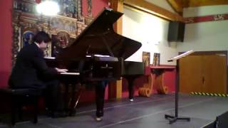 Sposalizio  Liszt  Axel Lenarduzzi piano