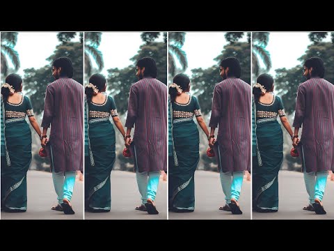 4K Full Screen Status Video || Tame Jadi Gadhi Dia || Odia Romantic Song video || Odia New Status