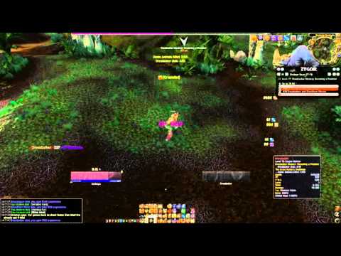 Protection Paladin - Northrend questing