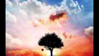 Ressurreição da carne - Livro dos Espiritos