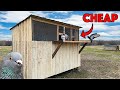 How to build the ULTIMATE PIGEON LOFT! (BUDGET)
